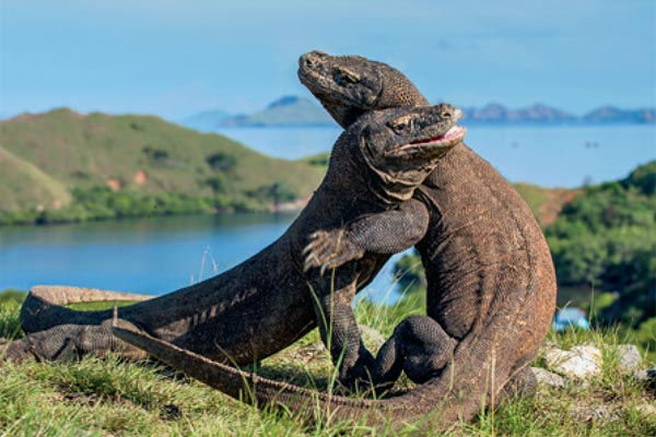Indonesia | Southeast Asia Yacht Charters Southeast Asia / Indonesia Yacht Charters