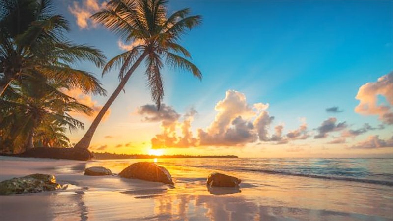 Bahamas & Caribbean Charters Spring 2026 | Westport Yachts Bahamas & Caribbean Charters Spring 2026 | Westport Yachts